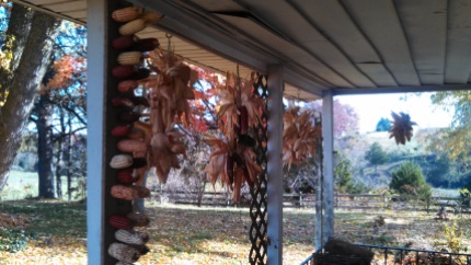 Heirloom corn drying on the front porch. 2014.